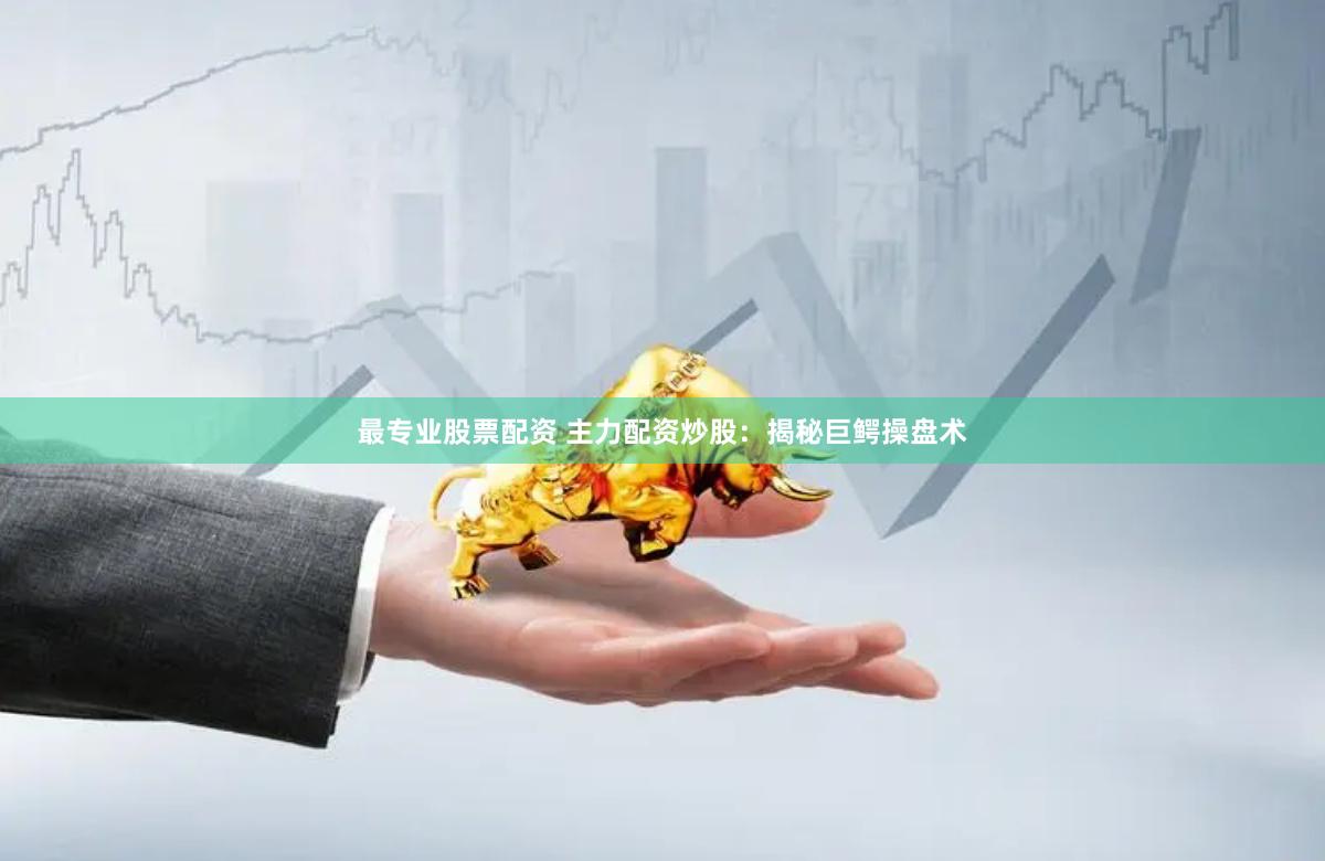 最专业股票配资 主力配资炒股：揭秘巨鳄操盘术