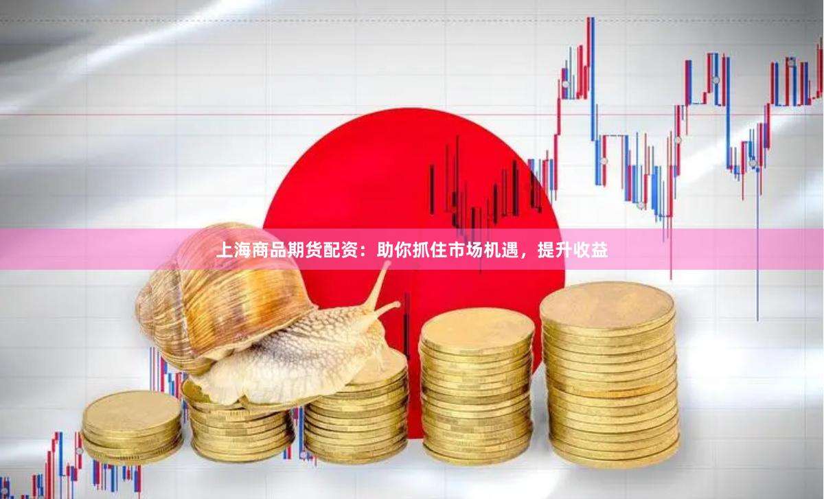 上海商品期货配资：助你抓住市场机遇，提升收益