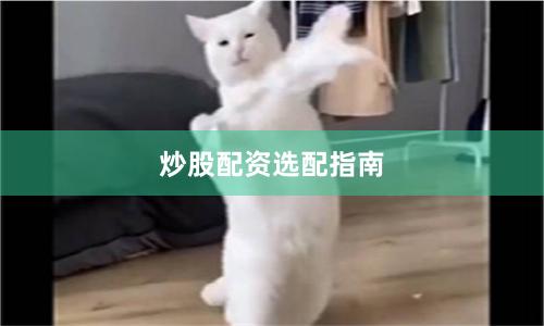 炒股配资选配指南