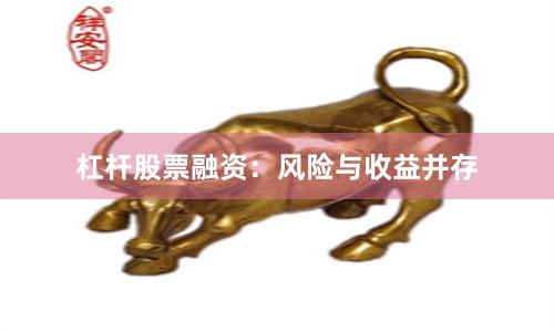 杠杆股票融资：风险与收益并存